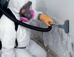 Best HVAC Mold Inspection and Cleaning  in Ashland, WI